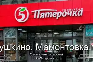 Пятерочка в г.Пушкино, Мамонтовка мкр