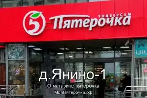 Пятерочка в д.Янино-1
