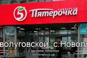 Пятерочка в с/с Новолуговской, с.Новолуговое