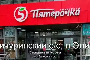 Пятерочка в сп.Мичуринский с/с, п.Элитный