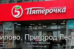 Пятерочка в д.Мисайлово, Пригород Лесное мкр